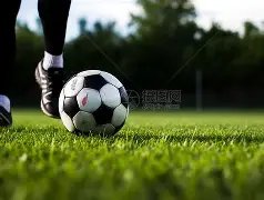 哈兰德与阿,尔瓦雷斯建,曼城,球友会,球友会入口,球友会官方入口,球友会官方网址