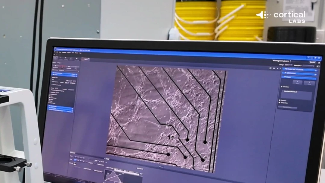 山东与四川,携手投资,球队,球友会,球友会入口,球友会官方入口,球友会官方网址